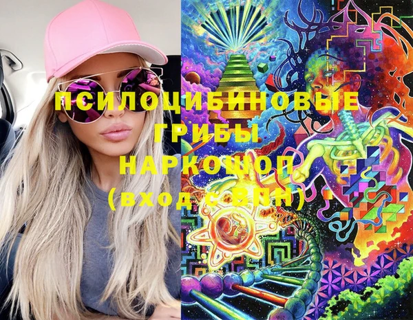 молекула духа Лабытнанги