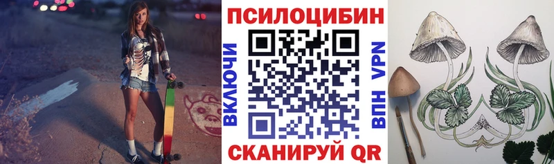 Купить где  Карабаново  Галлюциногенные грибы Cubensis 